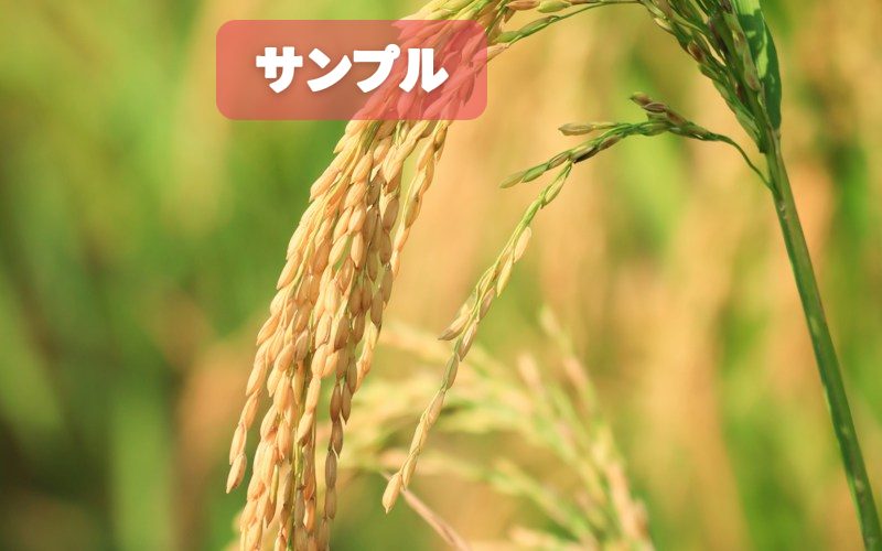遠くの海(缶バッジ)